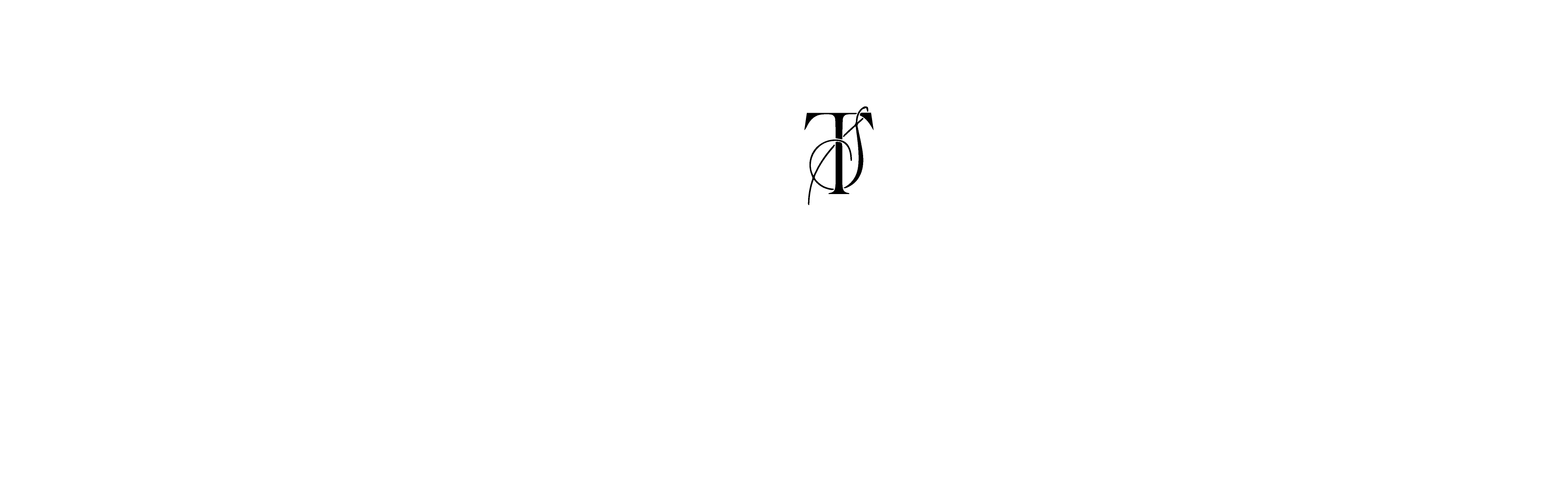 Logo-SanticchiaTonucci-bianco-e1710173155383